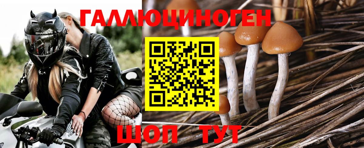 Галлюциногенные грибы Magic Shrooms Шебекино