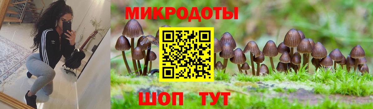 Шебекино  Псилоцибиновые грибы GOLDEN TEACHER  Вход с VPN  Галлюциногенные грибы мухоморы 